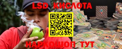 прущие грибы Краснознаменск