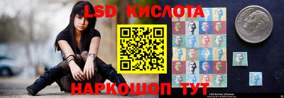 прущие грибы Краснознаменск