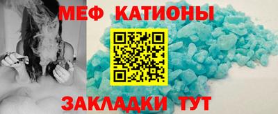 прущие грибы Краснознаменск
