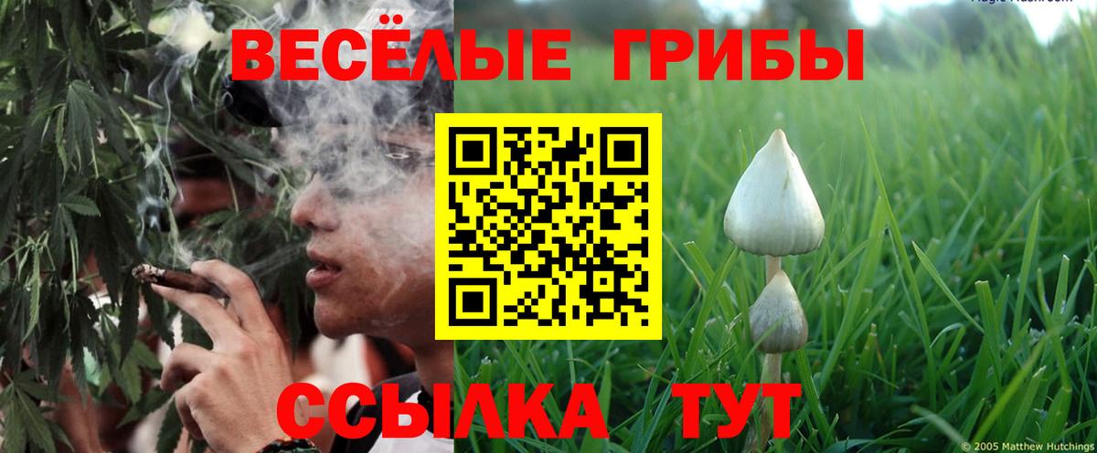 Галлюциногенные грибы Cubensis  Галлюциногенные грибы Psilocybine cubensis  Вход с VPN  Златоуст 